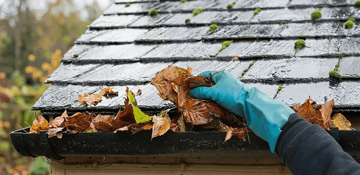 Gutter cleaning technician clearing wet leaves from roof gutters in Stamford, CT